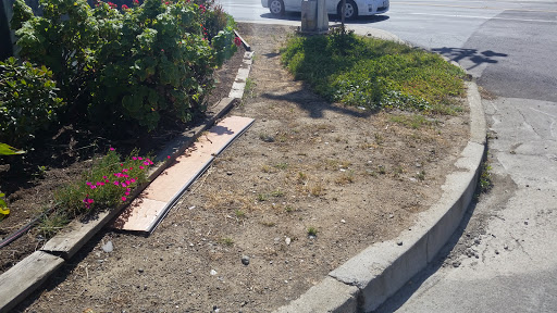 Car Detailing Service «ProLago Car Wash», reviews and photos, 1420 N 10th St, San Jose, CA 95112, USA