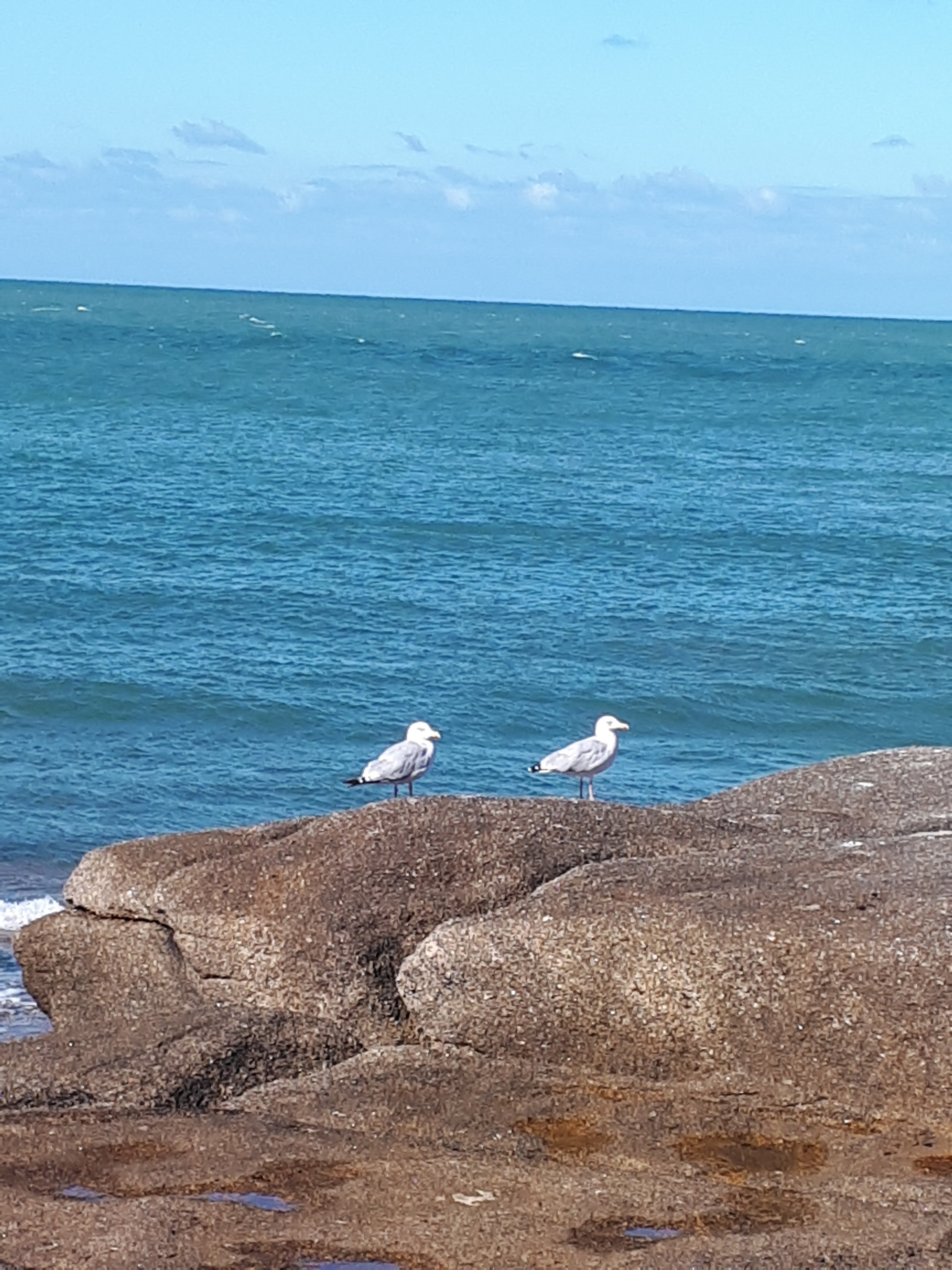 Photo n° 6 de l'avis de nathalie.a fait le 20/09/2019 à 08:30