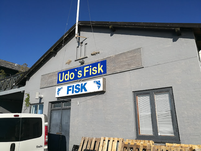 Udo fisk - Sportsbutik
