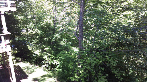 Ski Resort «Sugar Mountain Resort, Inc.», reviews and photos, 1009 Sugar Mountain Dr, Sugar Mountain, NC 28604, USA