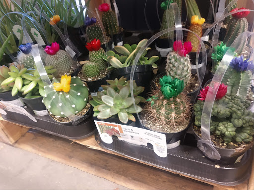 Home Improvement Store «The Home Depot», reviews and photos, 9150 W Stockton Blvd, Elk Grove, CA 95758, USA