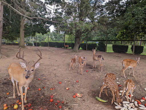 Produce Market «Linvilla Orchards», reviews and photos, 137 Knowlton Rd, Media, PA 19063, USA