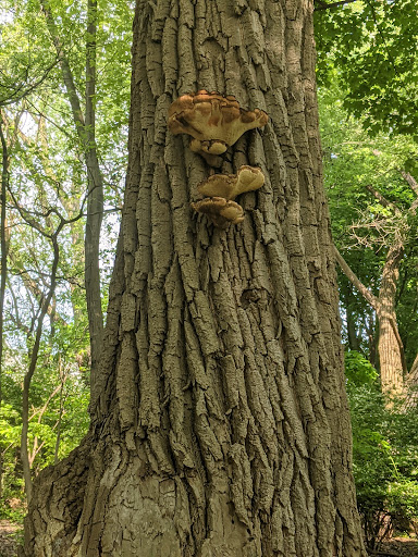 Community Center «Garfield Park Nature Center», reviews and photos, 11350 Broadway Ave, Garfield Heights, OH 44125, USA