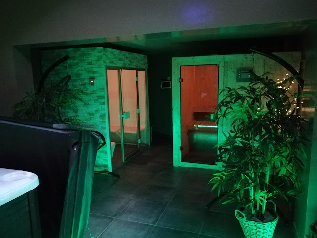 Saina Spa Tournai - Sauna