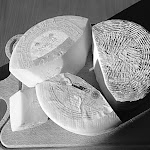 Photo n°7 de l'avis de Gabriele.a fait le 28/01/2024 à 11:08 sur le  Osteria Paganelli Gianfranco à Nicelli