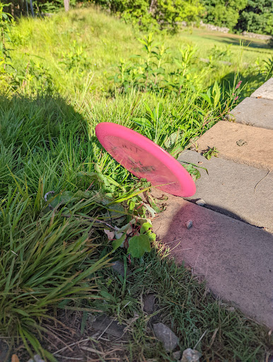 Outdoor Sports Store «Maple Hill Disc Golf», reviews and photos, 132 Marshall St, Leicester, MA 01524, USA