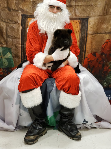 Pet Supply Store «PetSmart», reviews and photos, 12142 Jefferson Ave, Newport News, VA 23602, USA