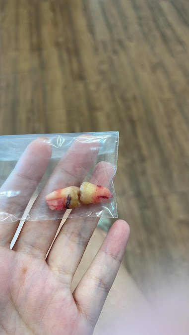 عيادة ابتسامتي لطب الأسنان - My Smile Dental Clinic