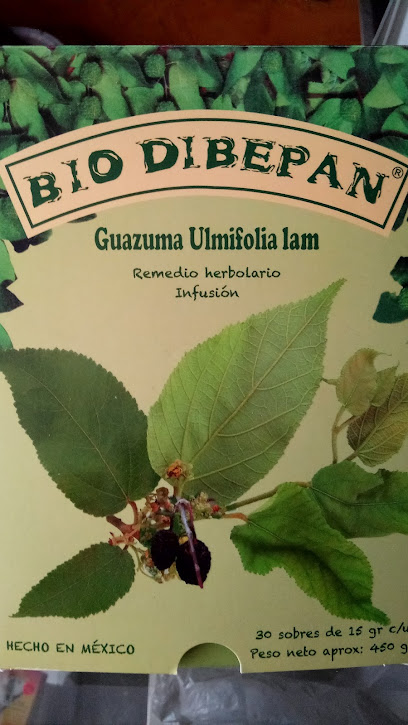 BIO DIBEPAN Morelia