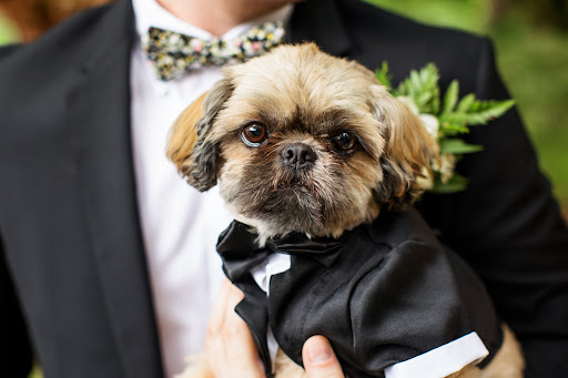 Wedding Planner «Bridal Bliss», reviews and photos, 402 N State St, Lake Oswego, OR 97034, USA