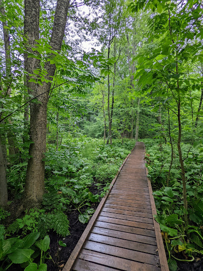 Westminster Ponds/Pond Mills Conservation Area