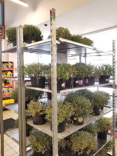 Supermarket «ALDI», reviews and photos, 4601 NJ-42, Blackwood, NJ 08012, USA