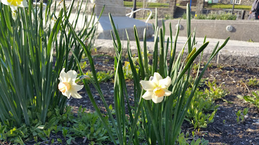 Museum «Philipse Manor Hall State», reviews and photos, 29 Warburton Ave, Yonkers, NY 10701, USA