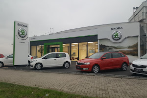 Audi, Škoda, Seat, Cupra, VW, VW Nutzfahrzeuge Neustadt | Autohaus Scherer