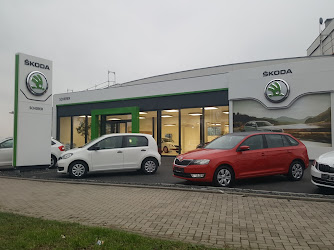Audi, Škoda, Seat, Cupra, VW, VW Nutzfahrzeuge Neustadt | Autohaus Scherer