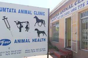 Umtata Animal Clinic image