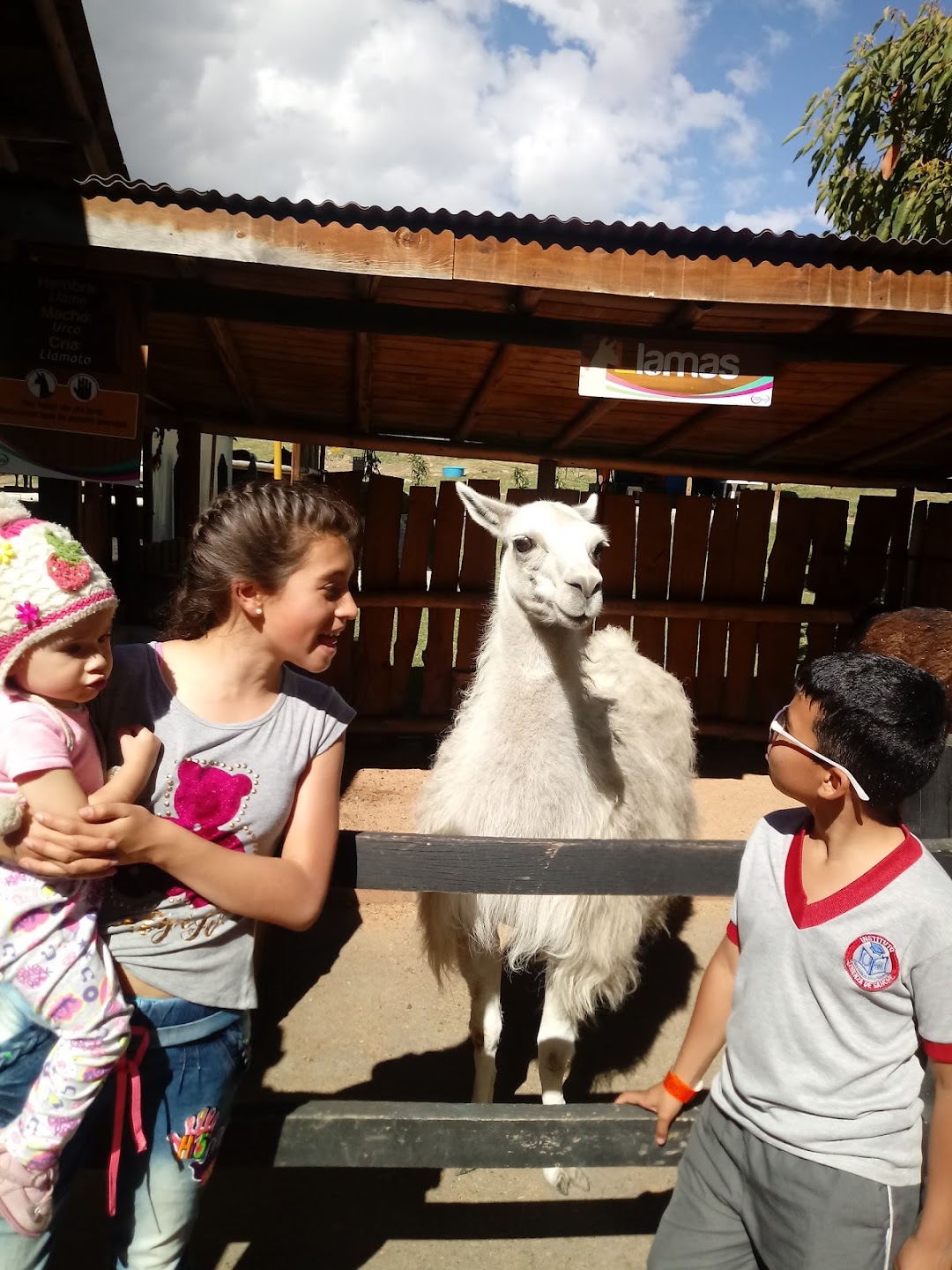 Prestamos a pensionados