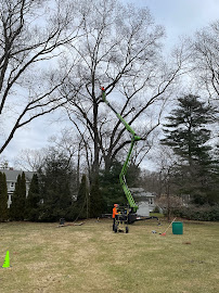 SavATree - Tree Service & Lawn Care - Photo 2 - Car repair in Middleton, MA, Lynn