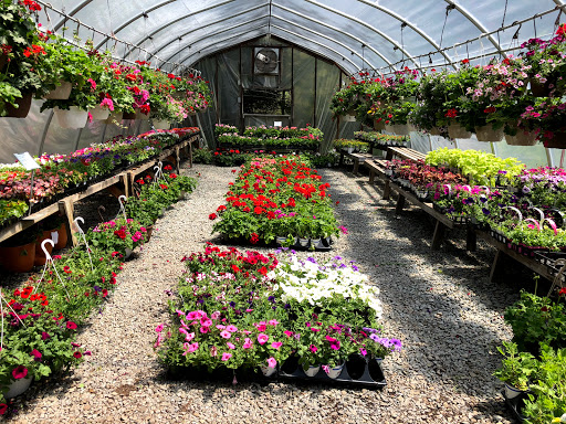 Garden Center «Stonewall Garden Center», reviews and photos, 4675 PA-447, Canadensis, PA 18325, USA