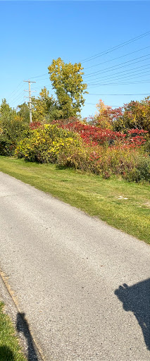 Public Golf Course «Glacier Club», reviews and photos, 8000 Glacier Club Dr, Washington, MI 48094, USA