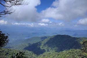 Gunung Nuang Recreational Forest image