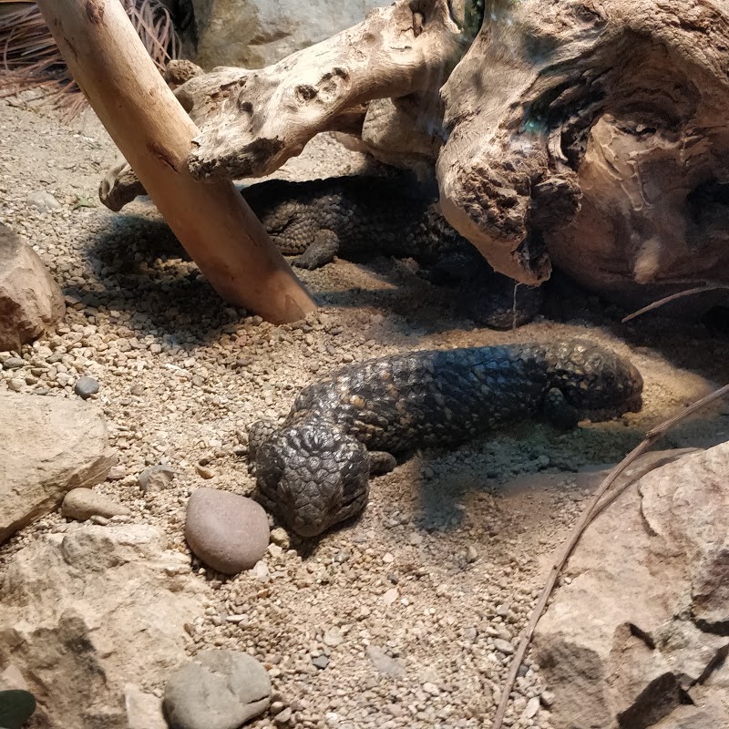 Klauber-Shaw Reptile House