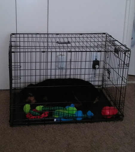 Pet Supply Store «Care-A-Lot Pet Supply Oyster Point», reviews and photos, 301 Oyster Point Rd, Newport News, VA 23602, USA