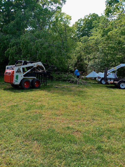Tree Works Affordable Tree Service
