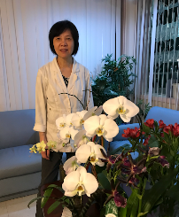 T R Acupuncture & Herb Clinic - Car repair in Houston, TX, Houston - Rated 4.8/5