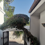 Photo n°1 de l'avis de Eustergio.a fait le 22/09/2023 à 08:40 sur le  Gattopardo Park Hotel à Lipari