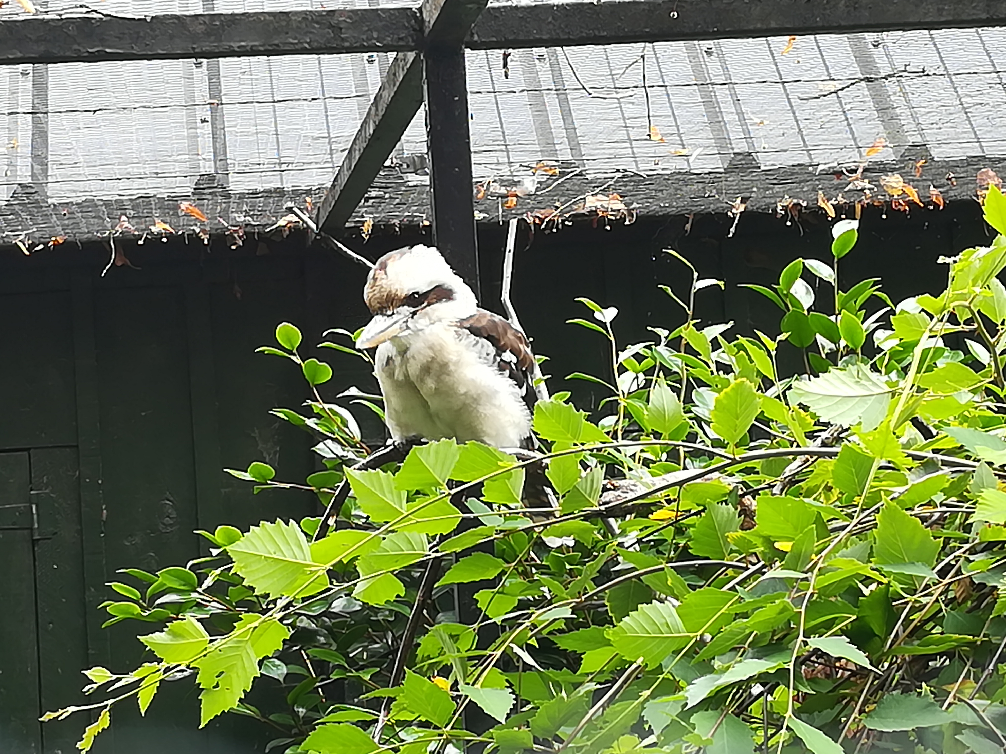 Photo n° 16 de l'avis de Christophe.A fait le 26/07/2020 à 19:03