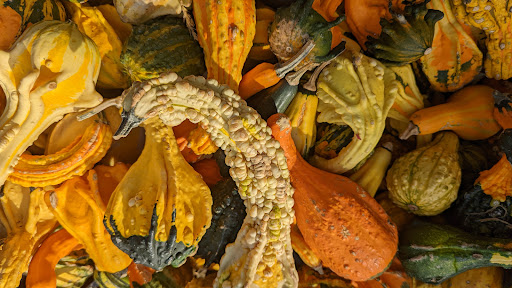 Florist «Metropolitan Plant & Flower», reviews and photos, 840 NJ-17, Paramus, NJ 07652, USA