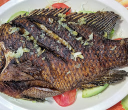 Tacos y Cocteles el Bony photo