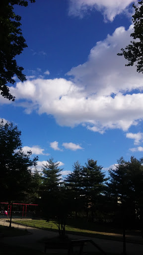 Stadium «Miller Stadium», reviews and photos, 5808 Jackson St, West New York, NJ 07093, USA