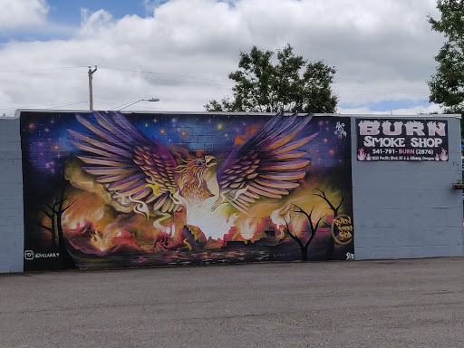 Vaporizer Store «Burn Smoke Shop», reviews and photos, 1025 Pacific Blvd SE, Albany, OR 97321, USA