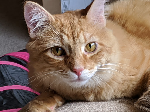 Performing Arts Theater «Numerica Performing Arts Center», reviews and photos, 123 N Wenatchee Ave, Wenatchee, WA 98801, USA