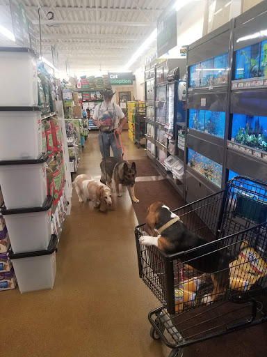 Pet Supply Store «Pet Supplies Plus», reviews and photos, 8175 Sheridan Blvd a, Arvada, CO 80003, USA