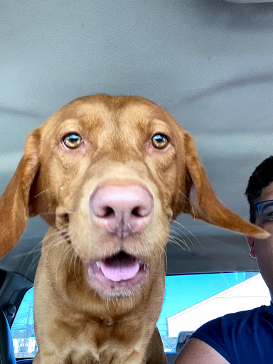 Pet Supply Store «Animal House», reviews and photos, 1509 S Black Horse Pike, Williamstown, NJ 08094, USA