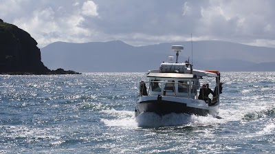 Photos of Dingle Bay Charters