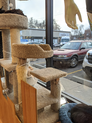 Used Clothing Store «iconoCLAD», reviews and photos, 414 300 S, Salt Lake City, UT 84111, USA