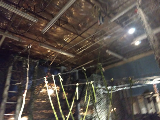 Amusement Center «JungleQuest», reviews and photos, 8000 S Lincoln St, Littleton, CO 80122, USA