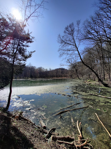 State Park «Radnor Lake State Park», reviews and photos, 1160 Otter Creek Rd, Nashville, TN 37220, USA