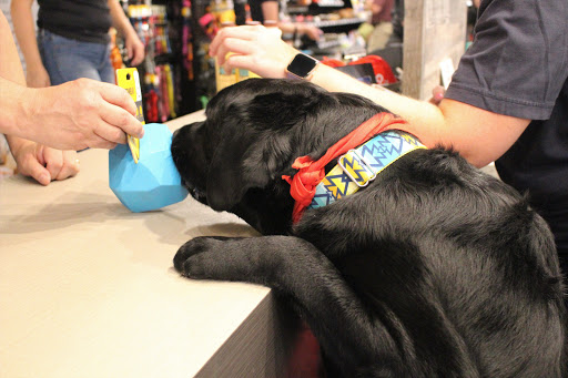 Pet Supply Store «Chuck & Don’s Pet Food & Supplies», reviews and photos, 335 Central Ave SE, Minneapolis, MN 55414, USA