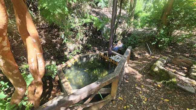 Comentarios y opiniones de Camping Familiar Agua De La Piedra