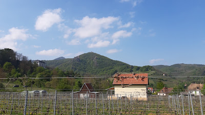 Burgart Simone à Ribeauvillé