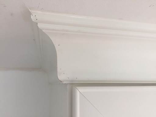 Surplus Store «Surplus Home Center», reviews and photos, 2741 Bernville Rd, Leesport, PA 19533, USA