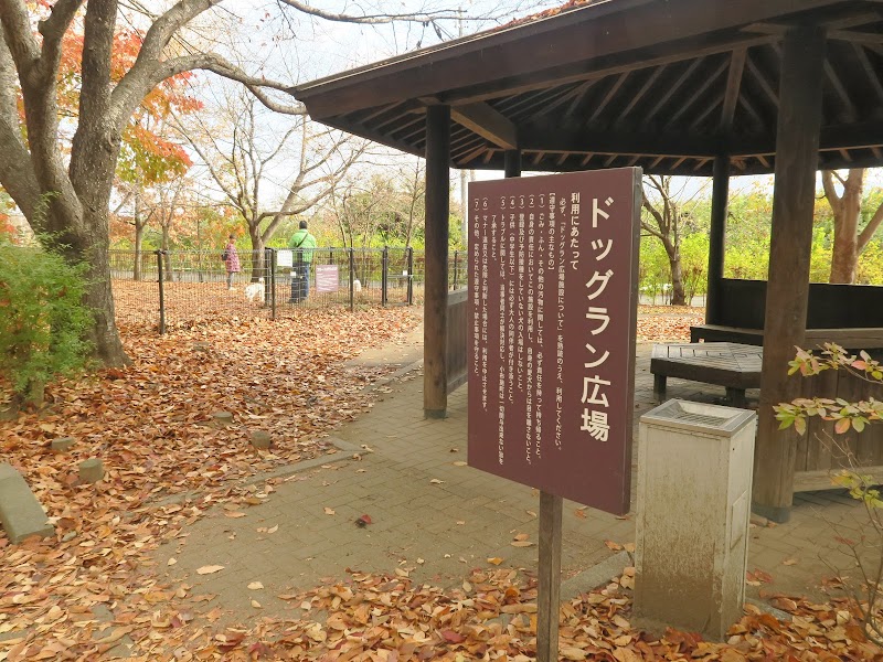 小布施ドッグラン広場 長野県小布施町大島 犬専用公園 公園 グルコミ