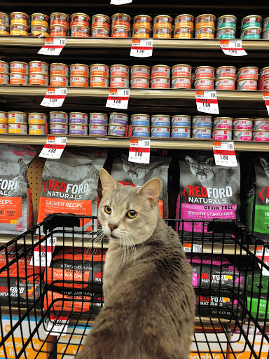 Pet Supply Store «Pet Supplies Plus», reviews and photos, 1155 Washington Pike, Bridgeville, PA 15017, USA