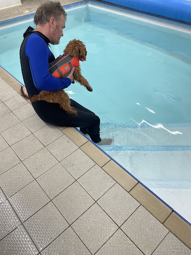 Reviews of K9 Spa Hydrotherapy Centre in Stoke-on-Trent - Dog trainer