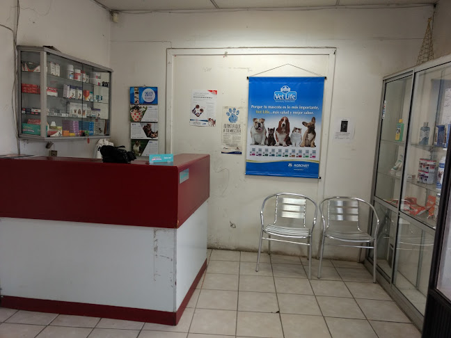 Médico Veterinario a domicilio. - Conchalí